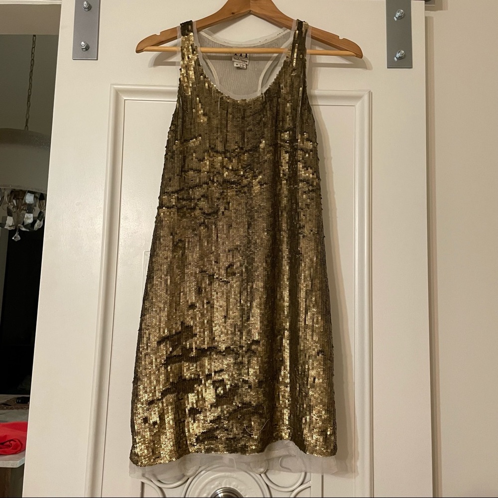 Haute Hippie Sequin Dress